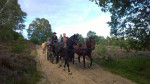 In de geurende heide (augustus)